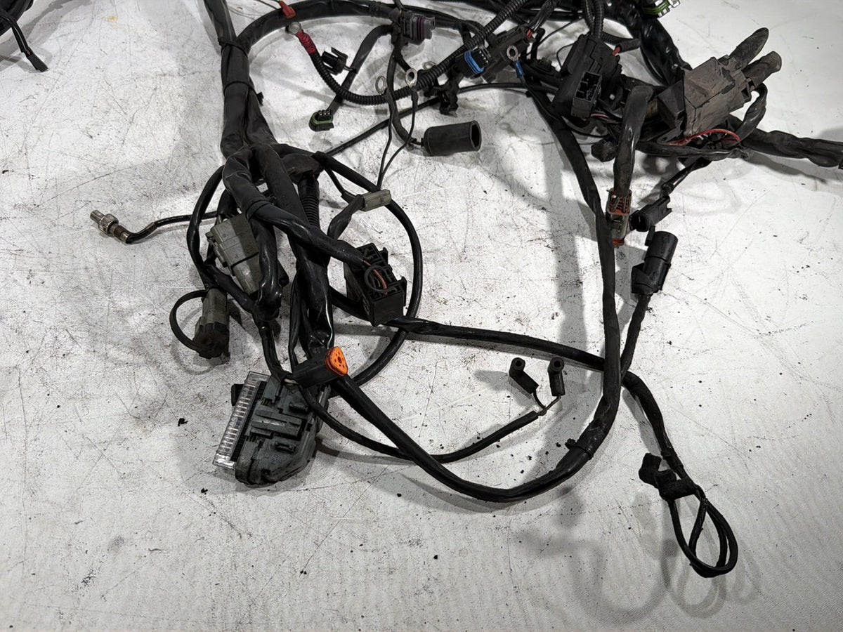2005 Harley Electra Glide Touring CVO Eagle OEM Main Wire Wiring Harness Loom
