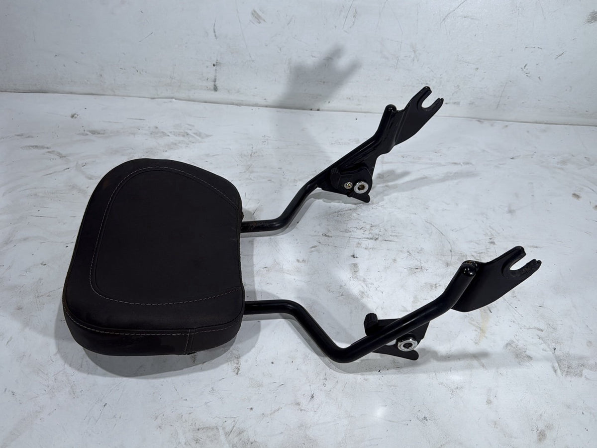2022 Harley Road King Touring FLHR OEM Rear Sissy Bar w/ Backrest Cushion Pad
