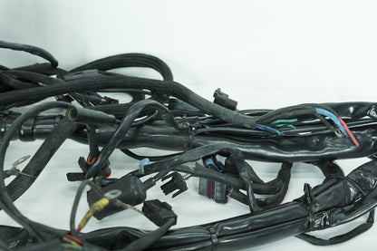 1999 - 2006 Harley-Davidson Touring Electra Glide Ultra Main Wire Wiring Harness Loom 70985-02
