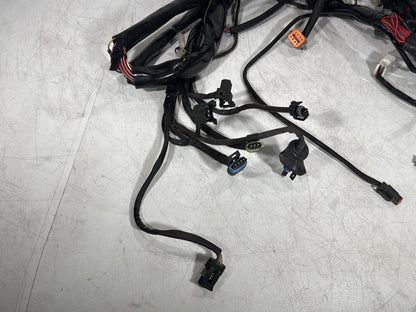 1999 - 2006 Harley-Davidson Touring Electra Glide Classic Main Wire Wiring Harness Loom  	70985-00