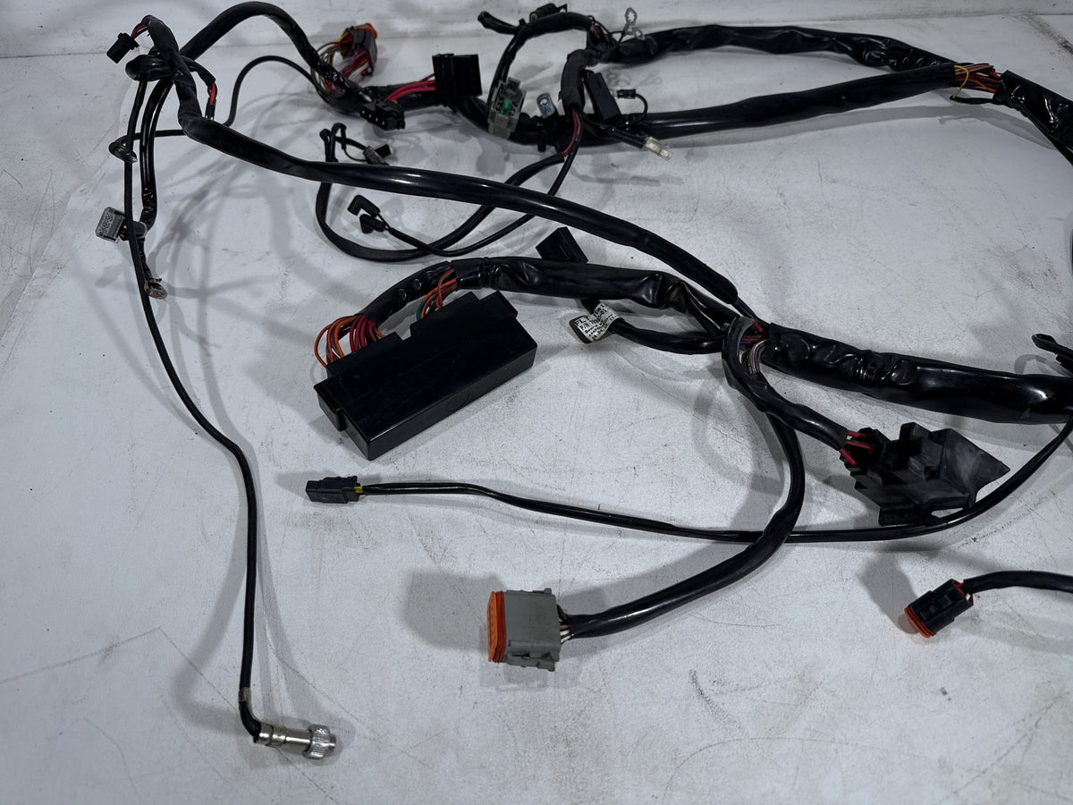 2001 Harley Electra Glide Touring Classic OEM Main Wire Wiring Harness Loom