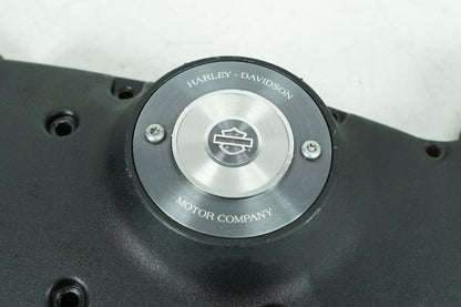 2013 - 2022 Harley-Davidson Sportster Iron Engine Motor Timing Chain Cover 25230-04