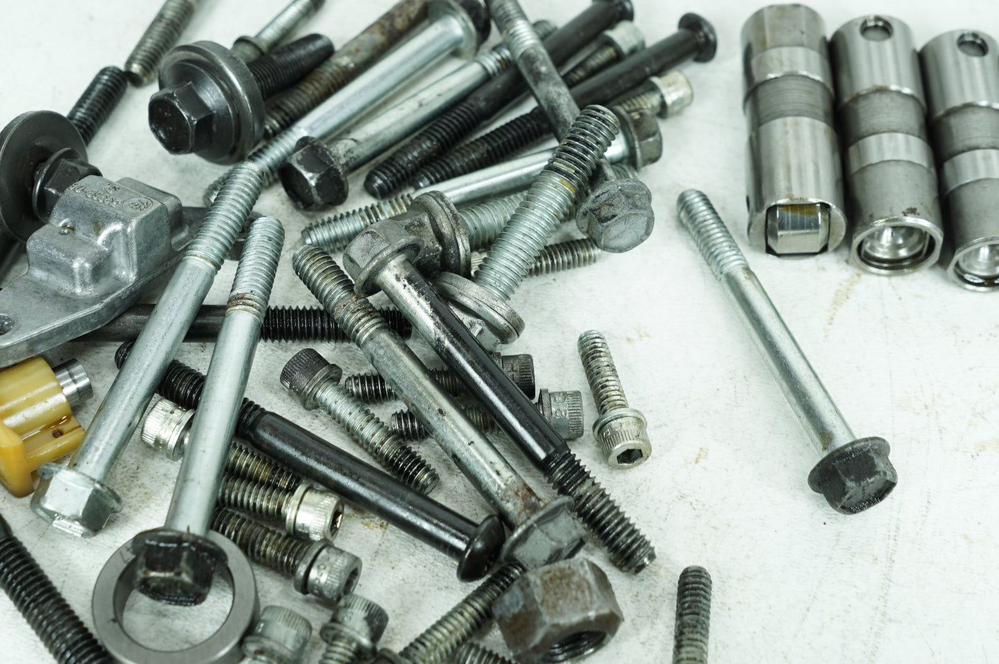 1999 - 2006 Harley-Davidson Softail Heritage Classic Twin Cam Hydraulic Tappets 4 Lifters  	18538-99B