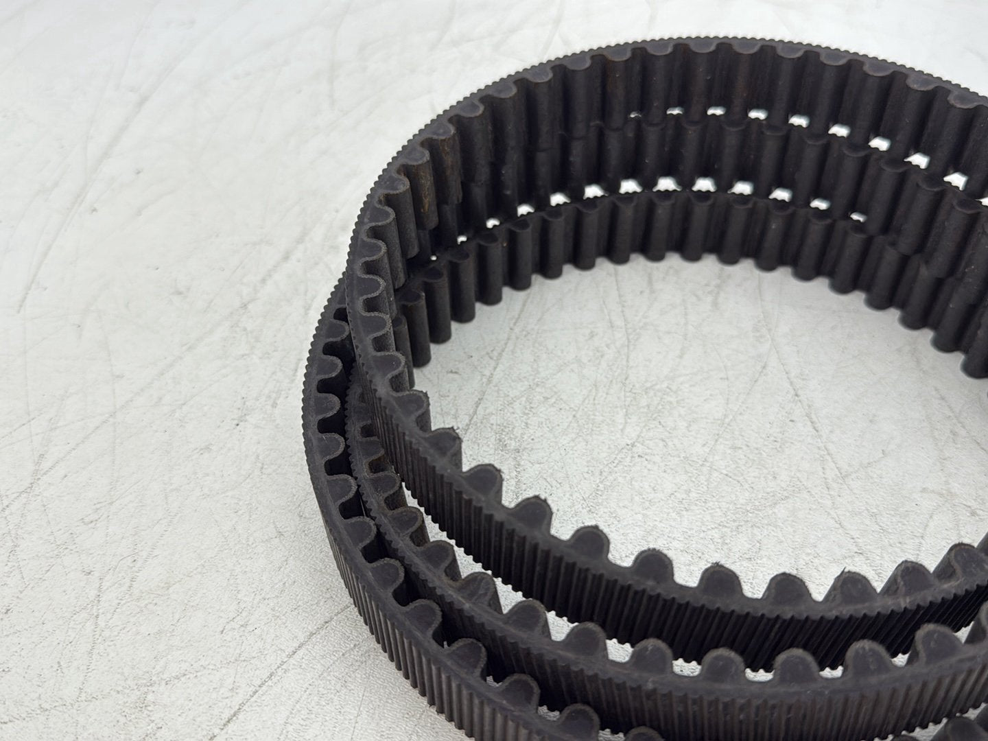 2013 Harley Forty-Eight Sportster 1200X OEM Rear Drive Belt