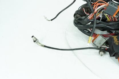 1999 - 2006 Harley-Davidson Touring Electra Glide Classic Main Wire Wiring Harness Loom 70985-01