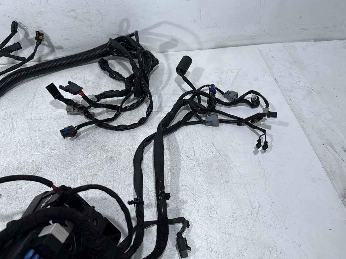 2009 Harley Dyna Street Bob FXDB OEM Main Wire Wiring Harness Loom
