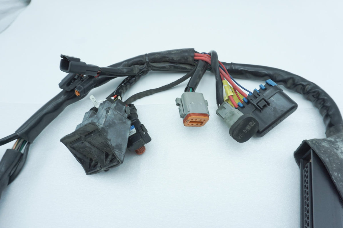 Wire Harness Loom Plug In Connector, 2001, Harley-Davidson, Touring, Electra Ultra, FLHTCUI