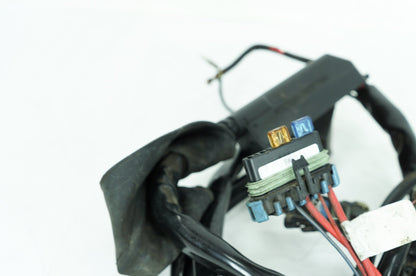 1999 - 2006 Harley-Davidson Touring Electra Glide Ultra Main Wire Wiring Harness Loom 70985-00