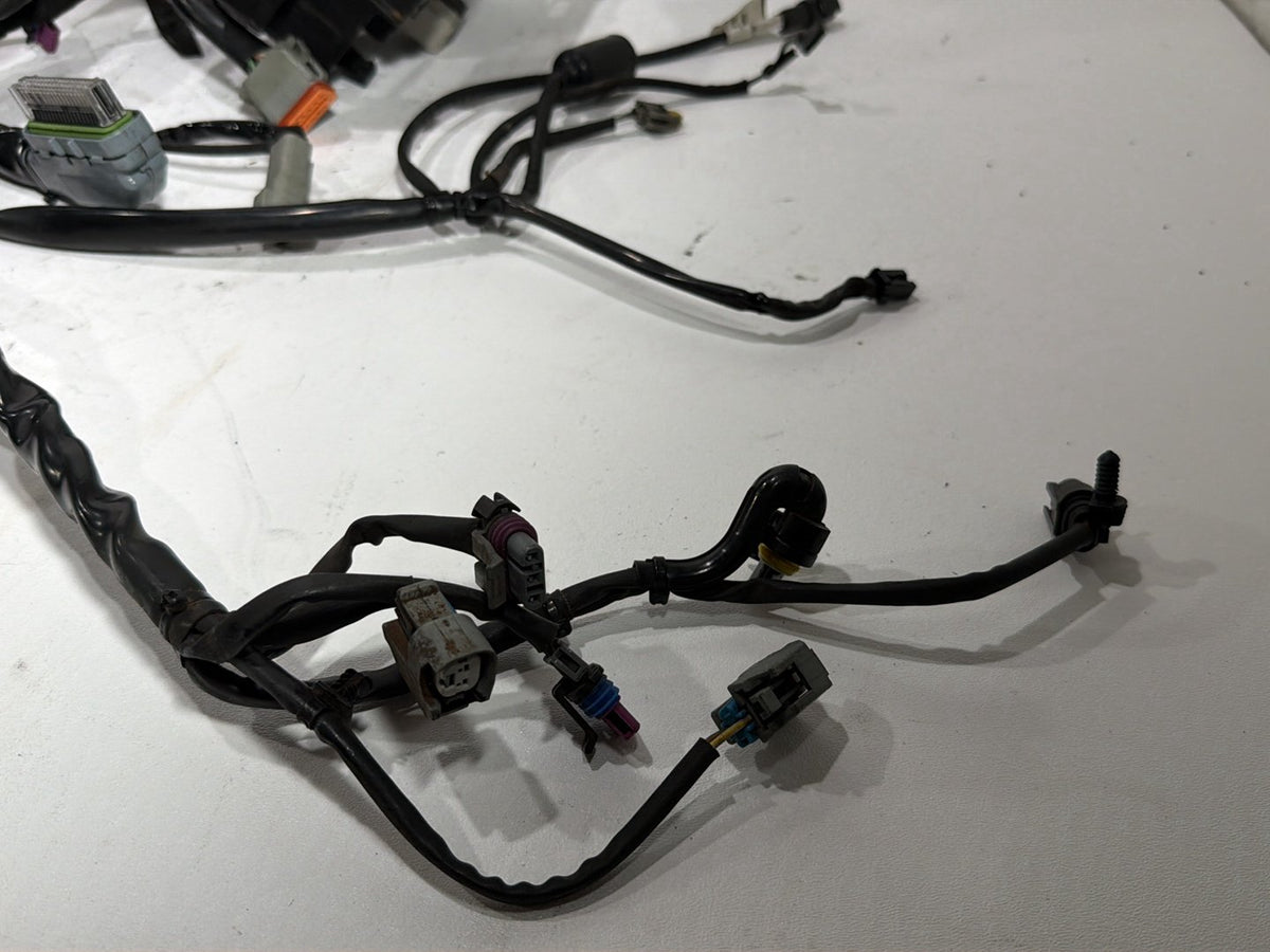 2007 Harley Dyna Street Bob FXDBI OEM Main Wire Wiring Harness Loom