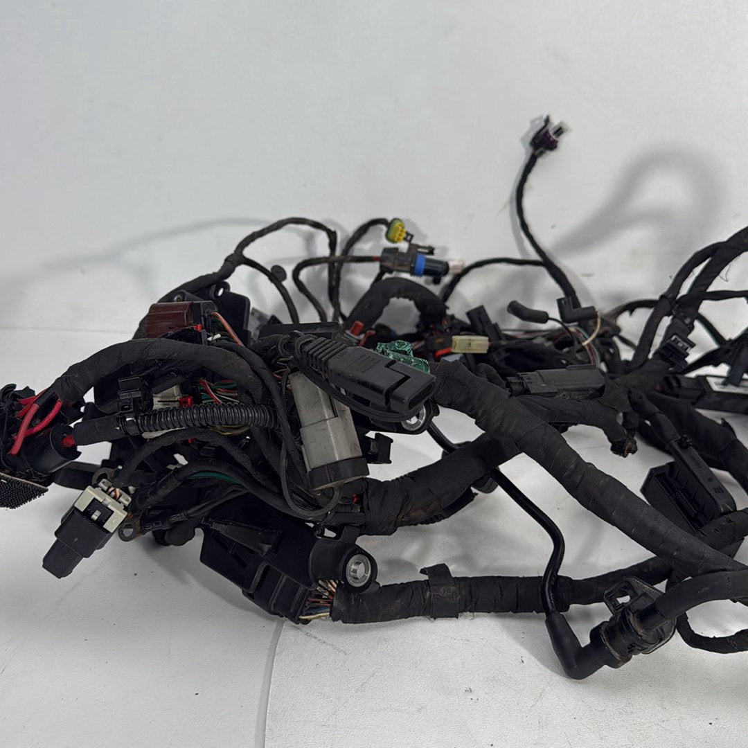 2017 - 2026 Harley-Davidson Softail Heritage Classic 114 Main Wire Wiring Harness Loom ABS 69201492