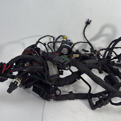 2017 - 2026 Harley-Davidson Softail Heritage Classic 114 Main Wire Wiring Harness Loom ABS 69201492