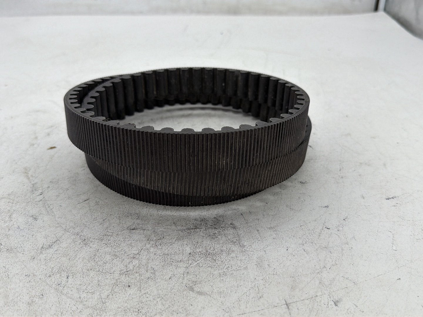 2006 Harley Sportster 1200 Custom XL1200C OEM Rear Drive Belt