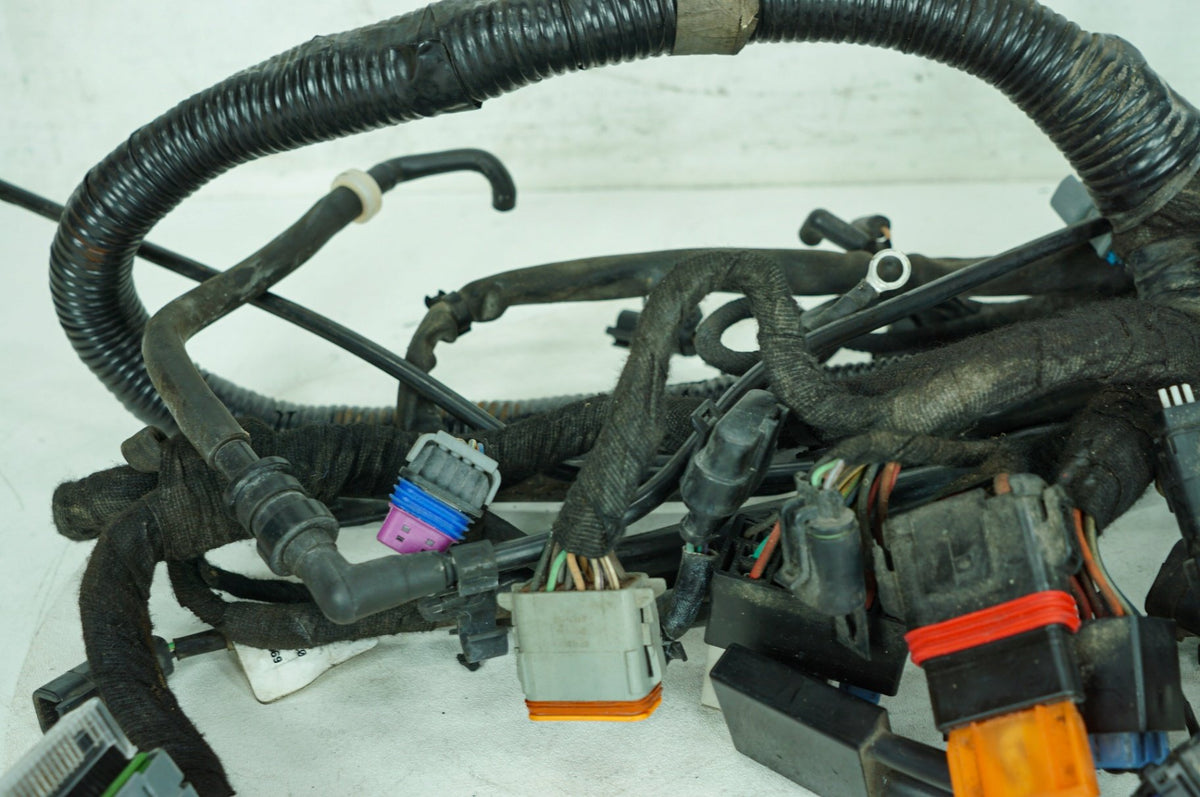 2008 Harley Dyna FXDL Low Rider OEM Main Wire Wiring Harness Loom