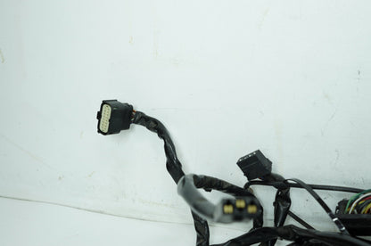2008 - 2016 Harley-Davidson Touring Electra Glide Ultra Main Wire Wiring Harness Loom ABS 70121-10