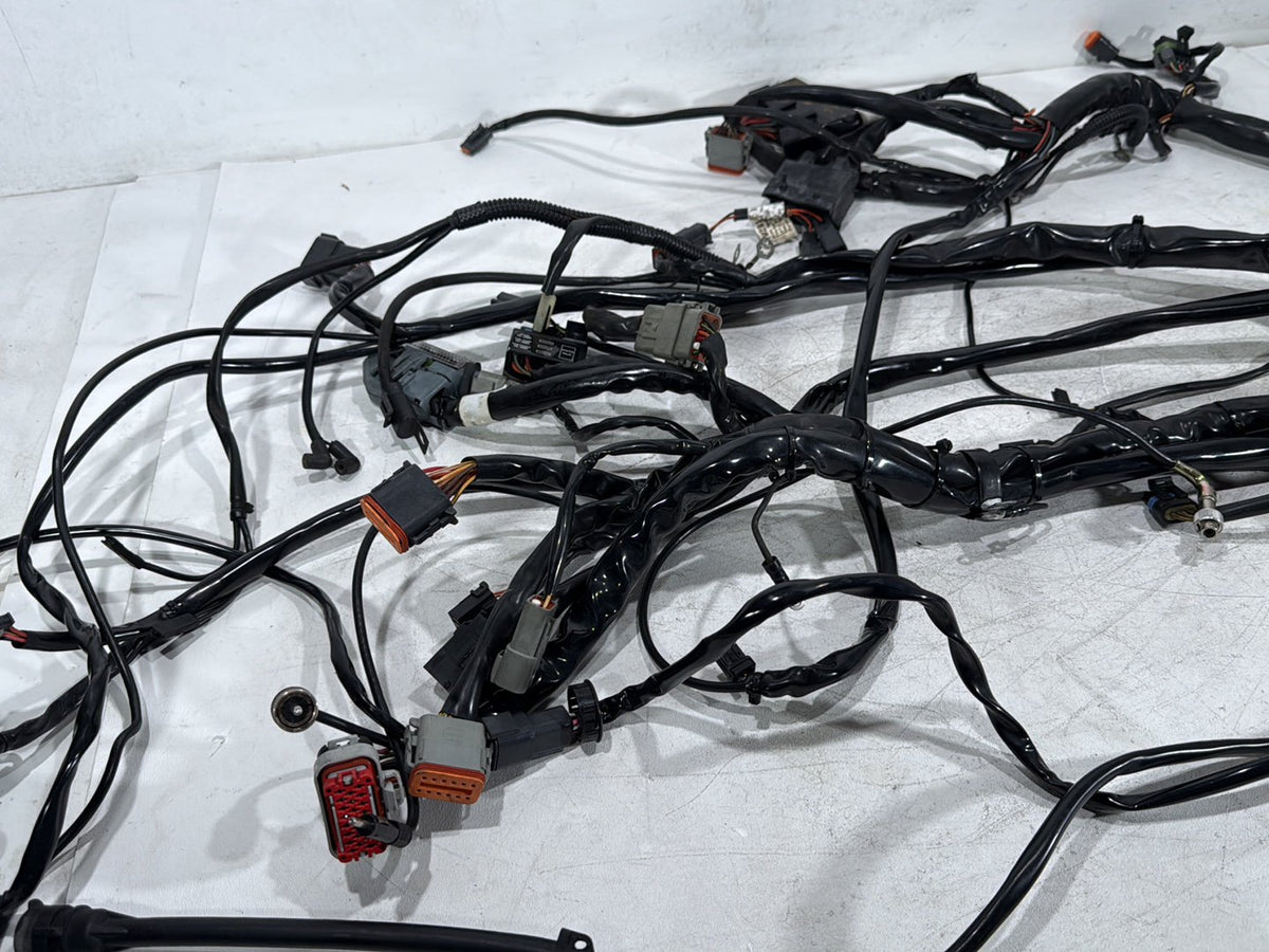 2003 Harley Electra Glide Touring Ultra OEM Main Wire Wiring Harness Loom