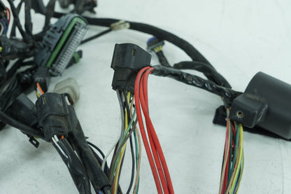 2004 - 2013 Harley-Davidson Sportster Low Main Wire Wiring Harness Loom 69200317