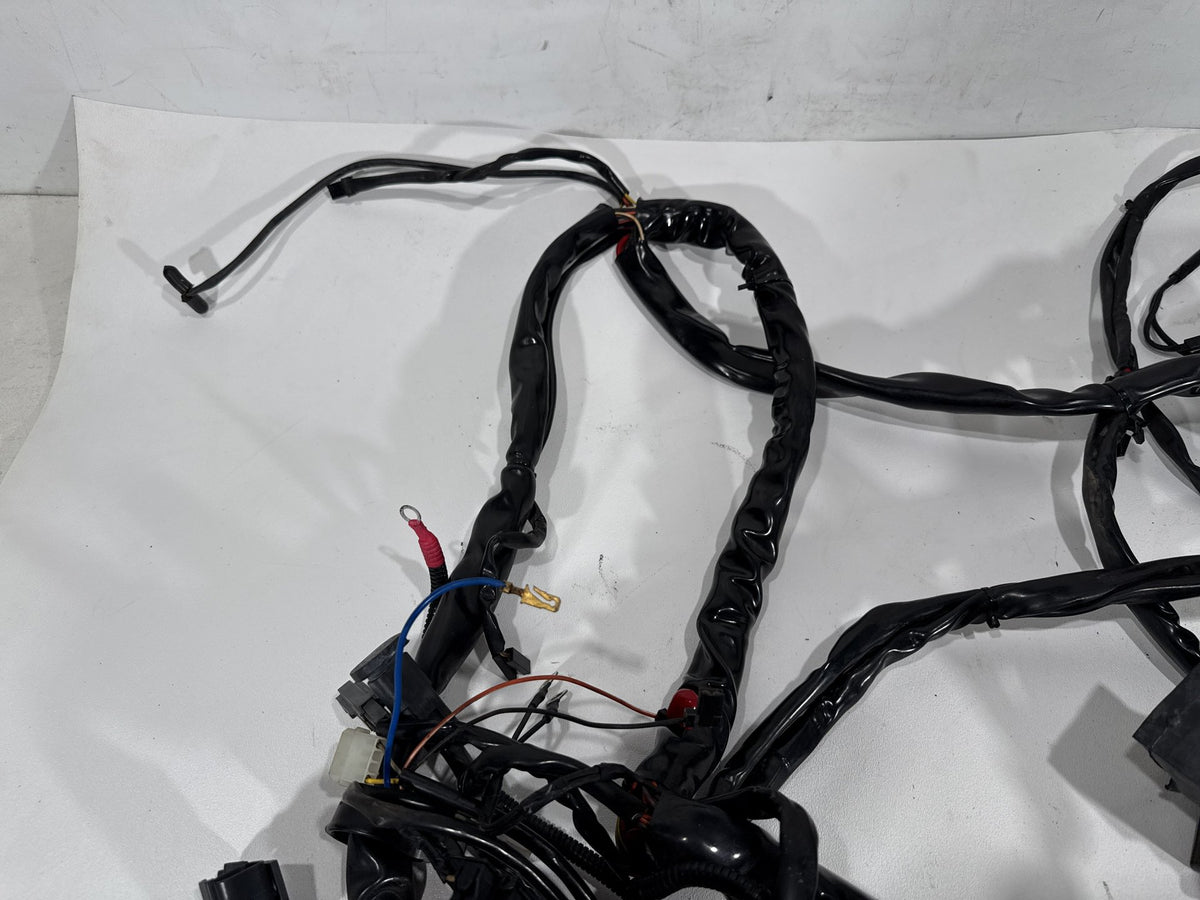 2004 Harley Road King Touring Classic OEM Main Wire Wiring Harness Loom