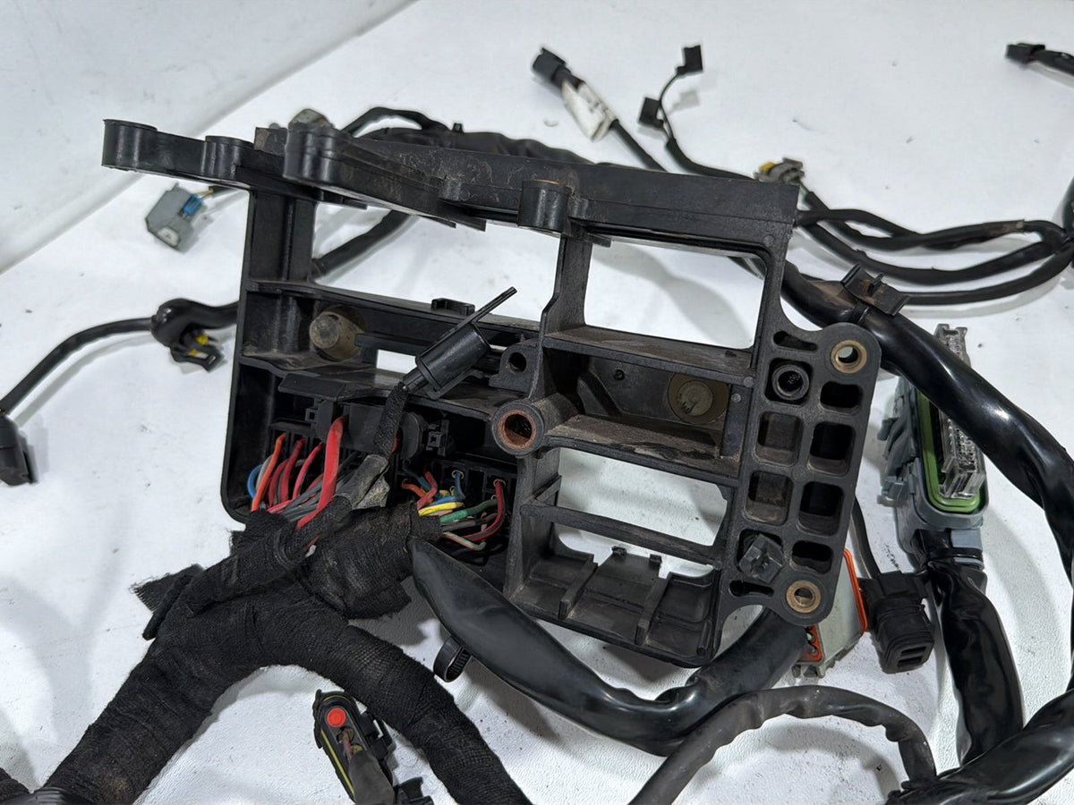 2007 Harley Dyna Street Bob FXDBI OEM Main Wire Wiring Harness Loom