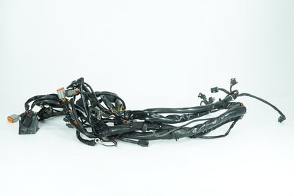 1999 - 2006 Harley-Davidson Touring Electra Glide Classic Main Wire Wiring Harness Loom  	70985-03