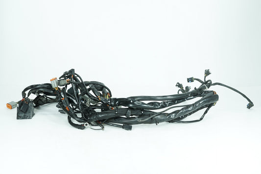 1999 - 2006 Harley-Davidson Touring Electra Glide Classic Main Wire Wiring Harness Loom  	70985-03