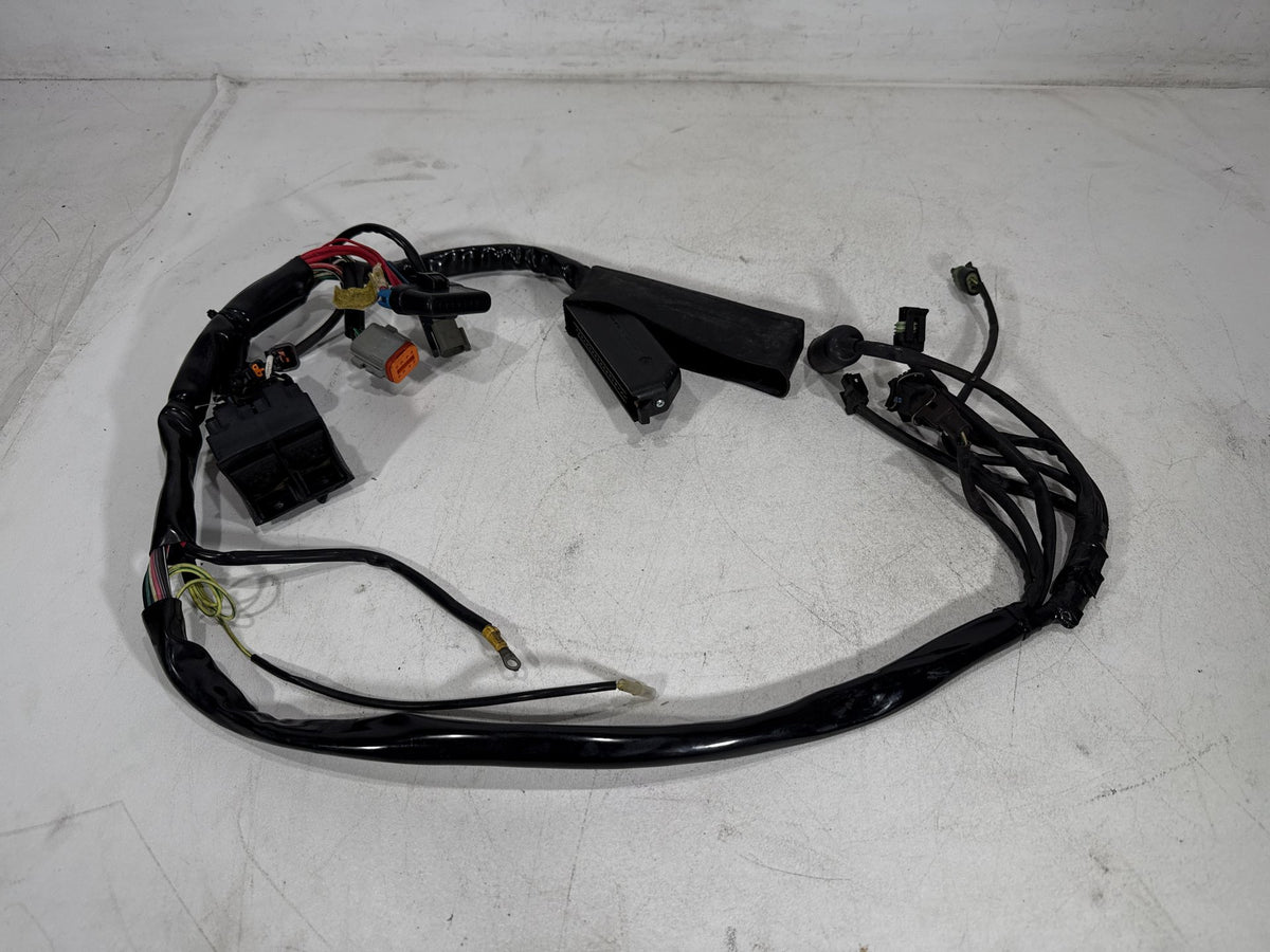 2001 Harley Electra Glide Touring Classic OEM Engine Bay Wire Wiring Harness