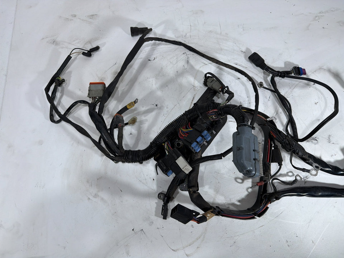 2006 Harley Softail Deuce FXSTDI OEM Main Wire Wiring Harness Loom EFI