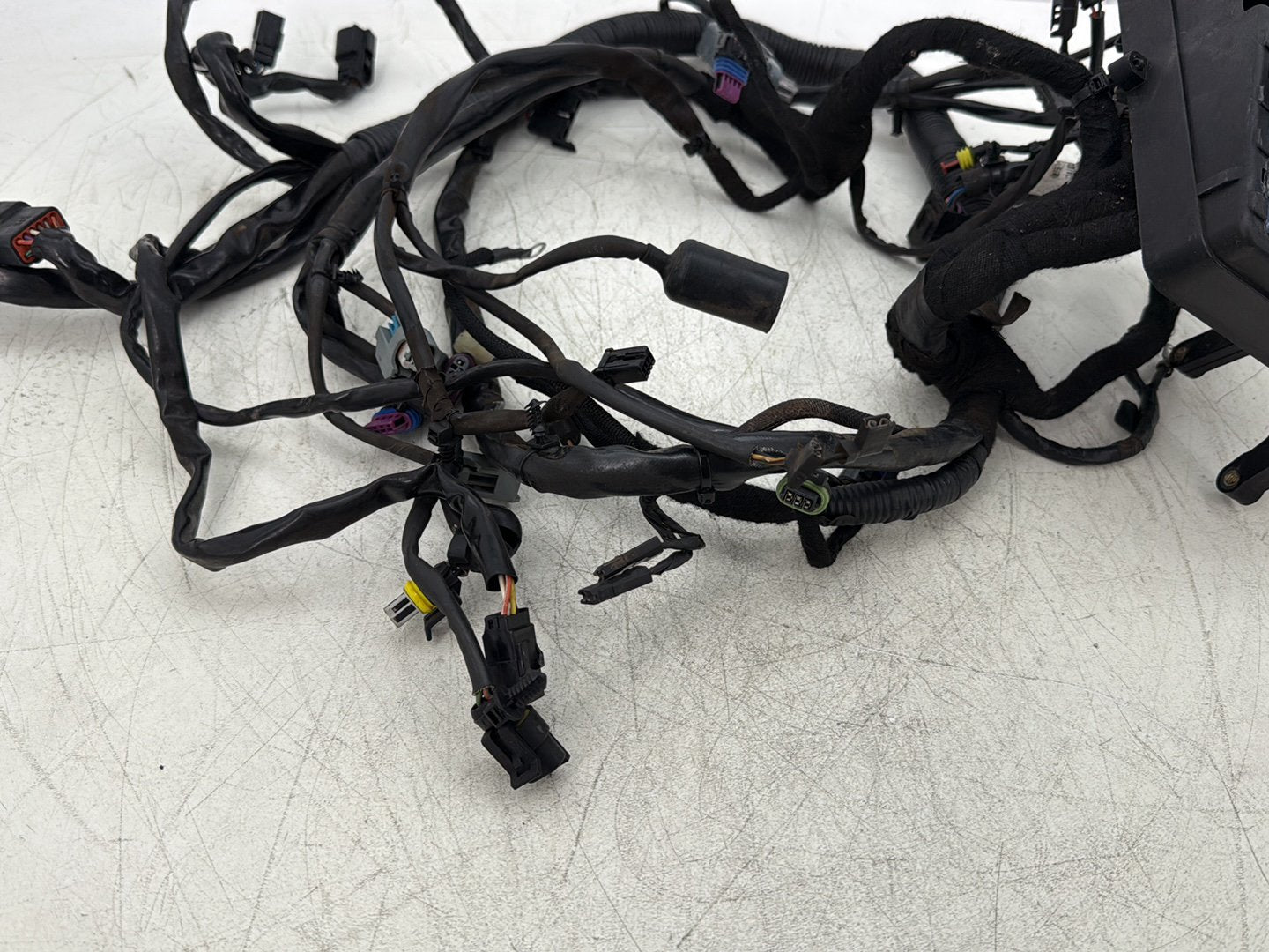 2007 Harley Dyna Street Bob FXDBI OEM Main Wire Wiring Harness Loom