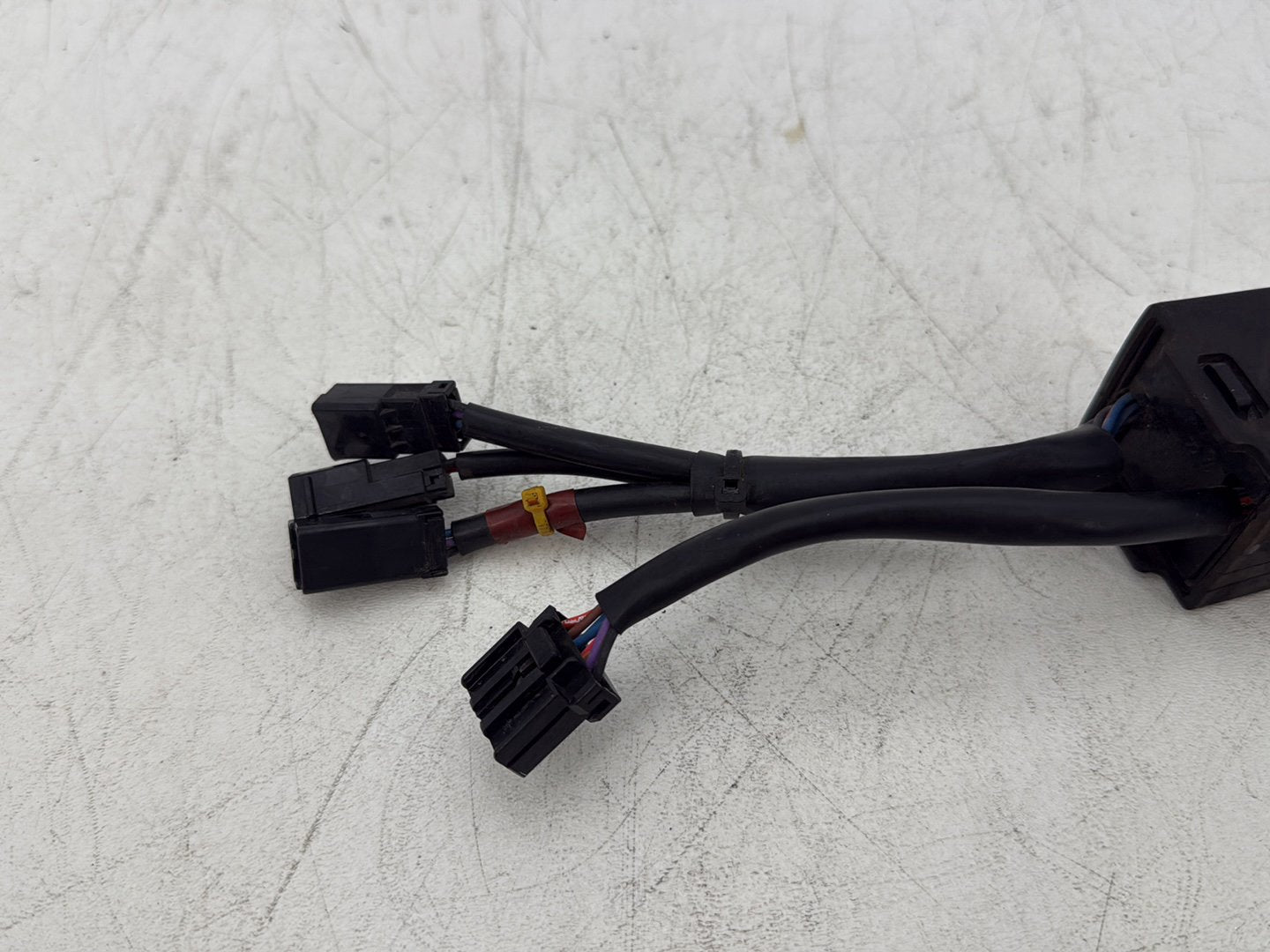 2013 Harley Forty-Eight Sportster 1200X OEM Tail Turn Signal Light Converter Module