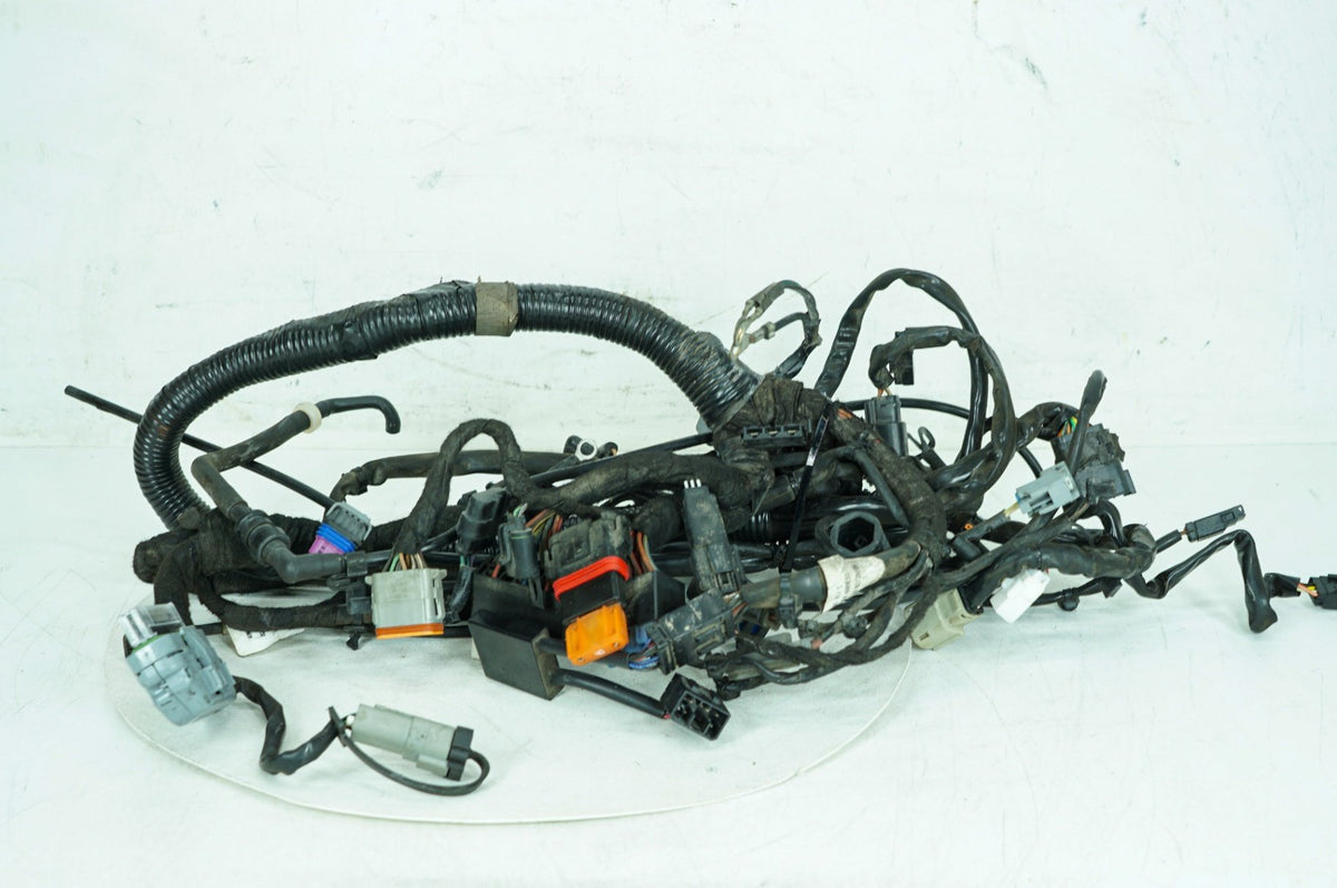 2008 Harley Dyna FXDL Low Rider OEM Main Wire Wiring Harness Loom