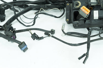 1999 - 2006 Harley-Davidson Dyna Low Rider Main Wire Wiring Harness Loom 69602-04A
