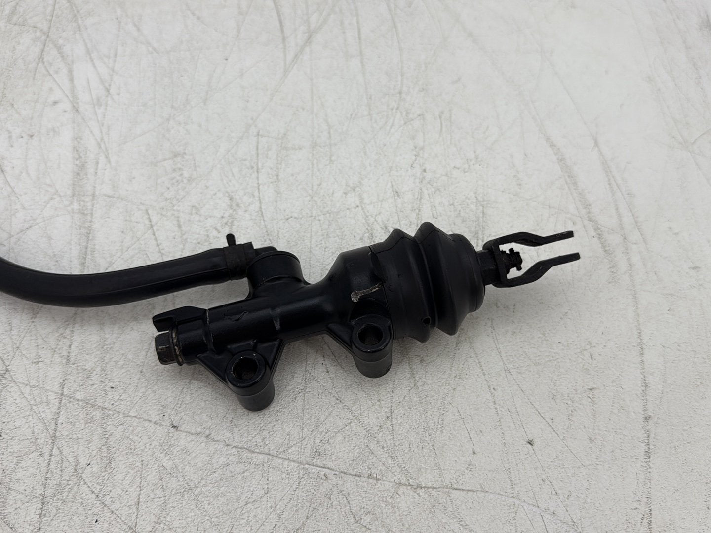 2004 Harley Sportster XL883C 883 Custom OEM Rear Brake Master Cylinder Bottle Brake Line