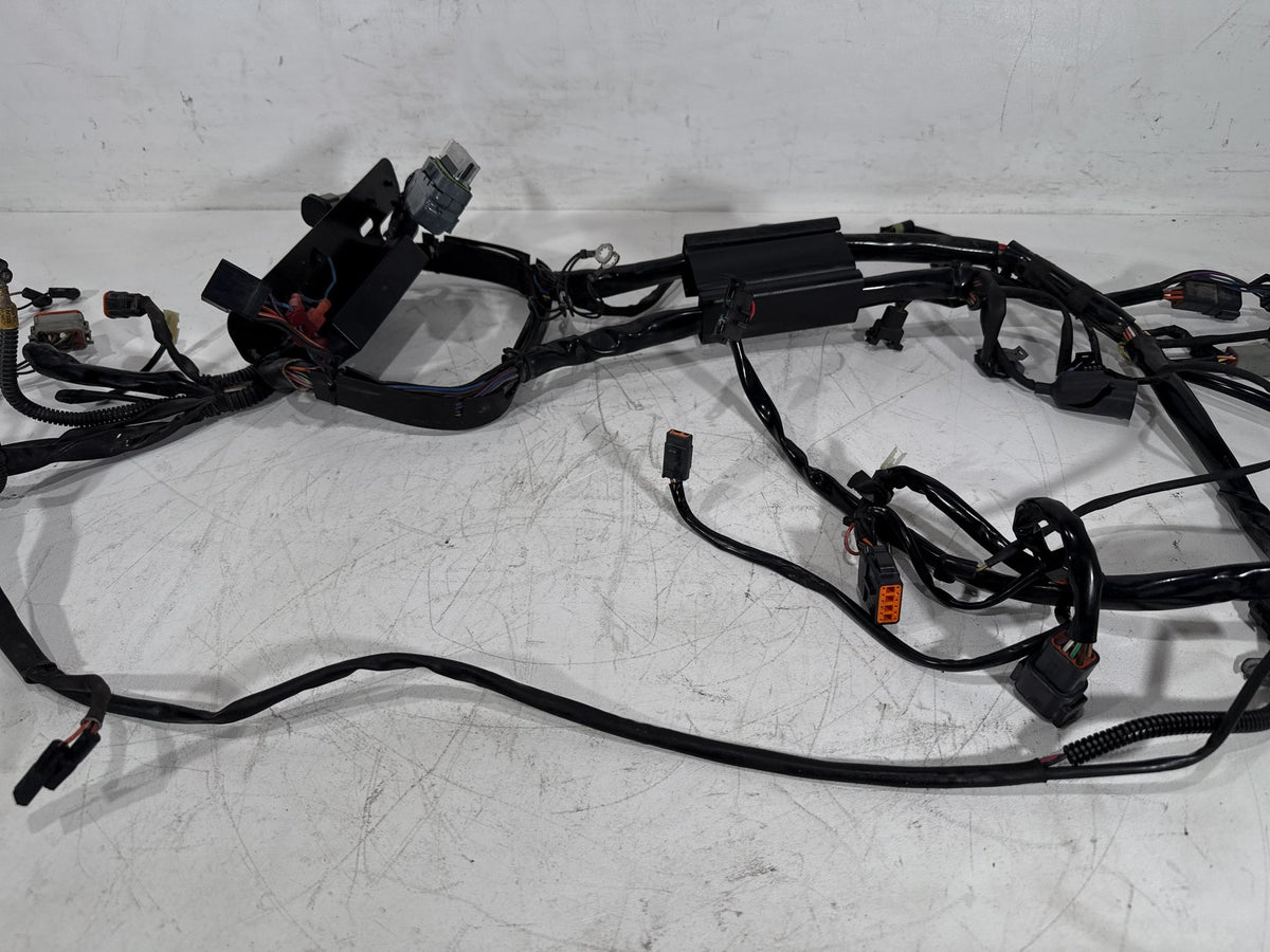 2003 Harley Softail Deuce FXSTDI OEM Main Wire Wiring Harness Loom EFI