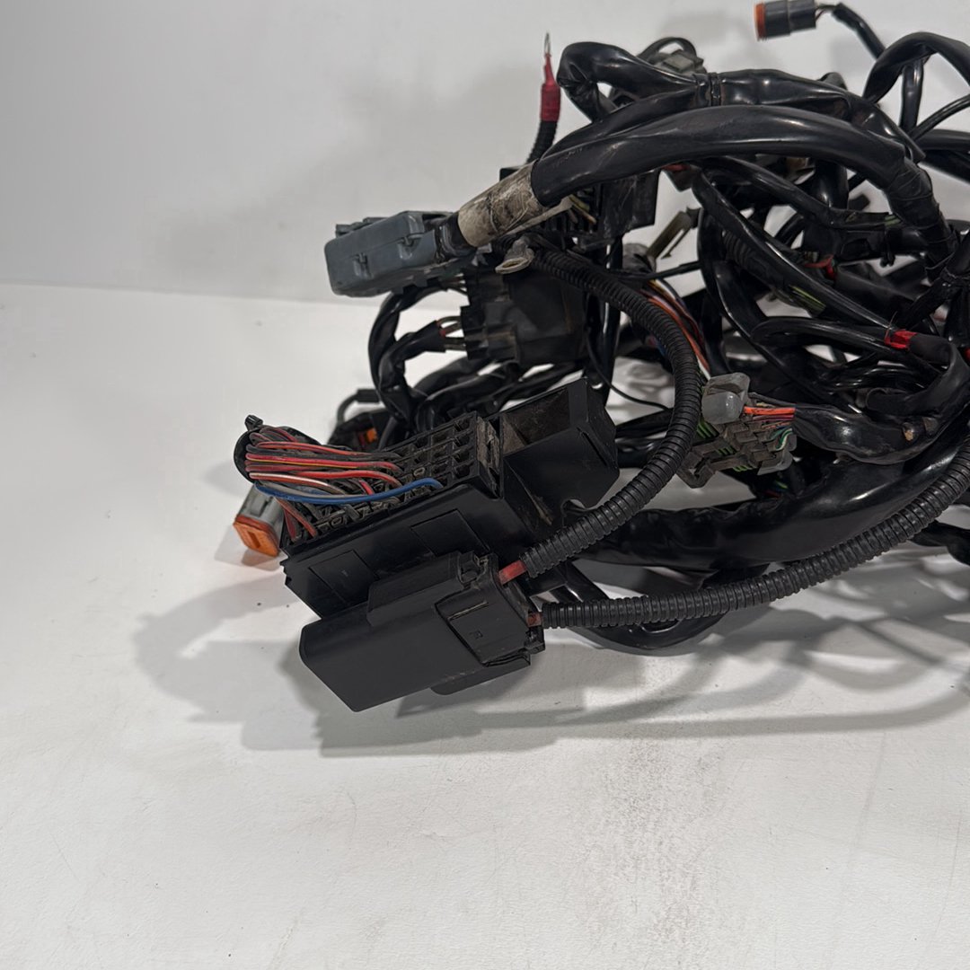 1999 - 2006 Harley-Davidson Touring Electra Glide Ultra Main Wire Wiring Harness Loom 70985-05