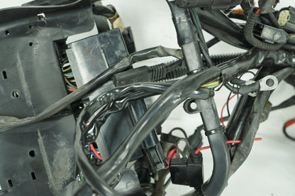 2007 - 2011 Harley-Davidson Softail Heritage Classic Main Wire Wiring Harness Loom 70431-08A