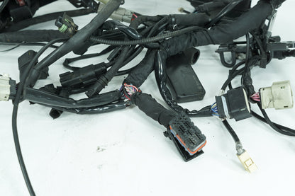 2008 - 2016 Harley-Davidson Touring Electra Glide Ultra Main Wire Wiring Harness Loom ABS 69200118