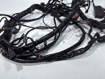 2003 Harley Electra Glide Touring Ultra FLHTCUI OEM Main Wire Wiring Harness Loom