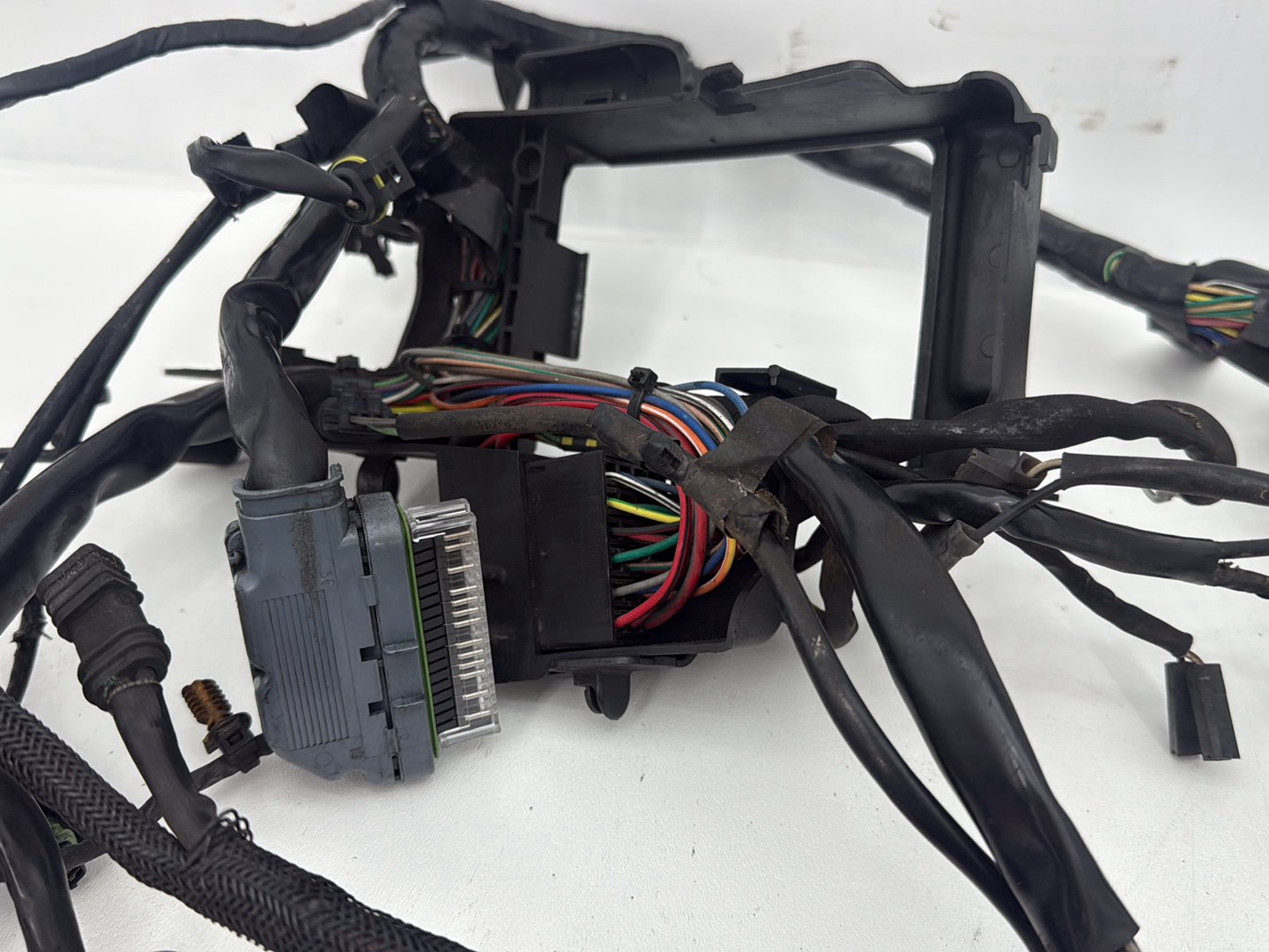2004 - 2022 Harley-Davidson Sportster 1200 Nightster Main Wire Wiring Harness Ignition Switch NOKey 70181-10
