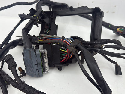 2004 - 2022 Harley-Davidson Sportster 1200 Nightster Main Wire Wiring Harness Ignition Switch NOKey 70181-10