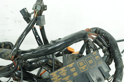 1999 - 2006 Harley-Davidson Touring Electra Glide Main Wire Wiring Harness Loom  	70985-02