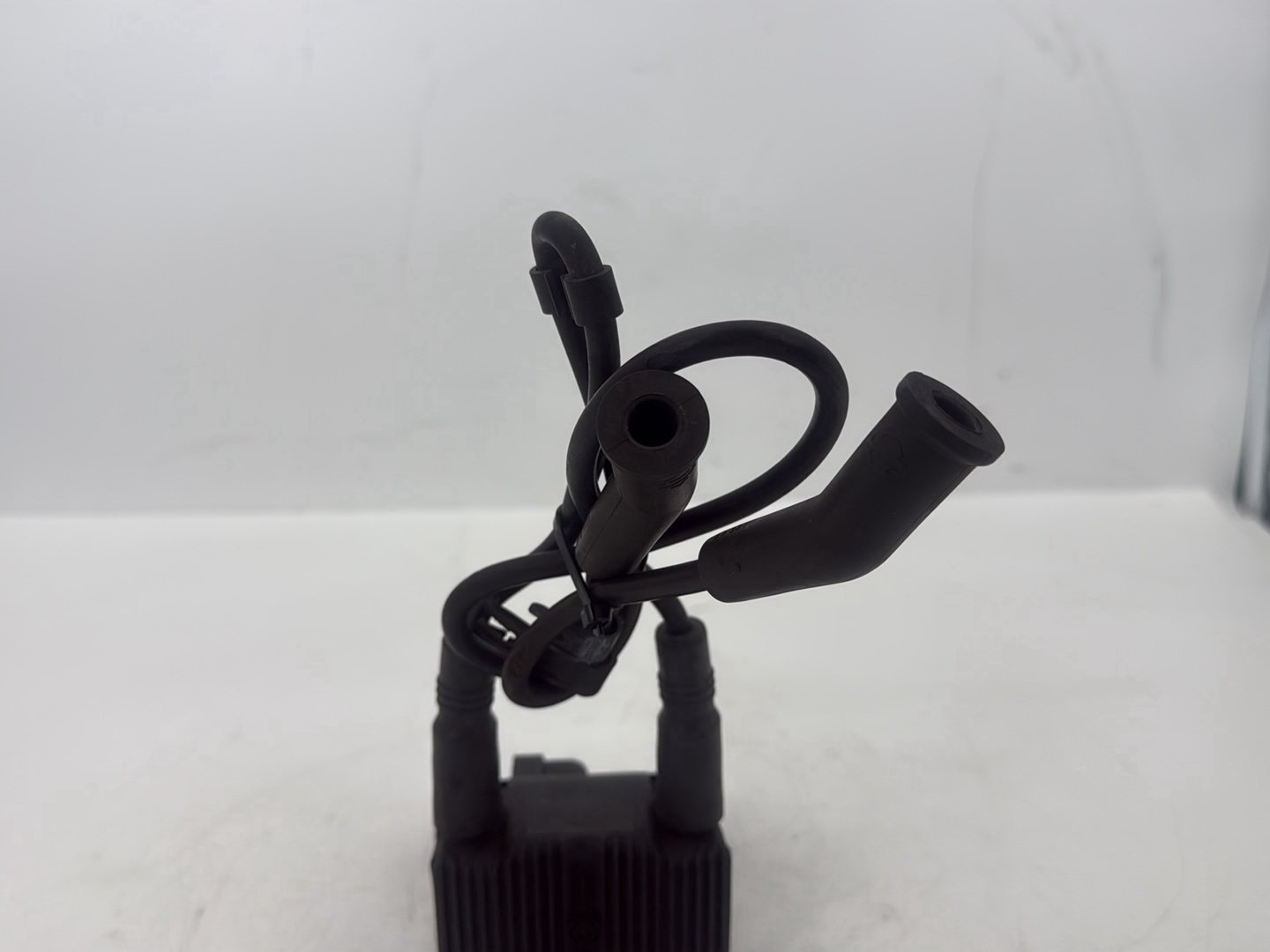 2005 Harley Touring FLHRCI Road King Classic OEM Ignition Coil Spark Plugs Cable