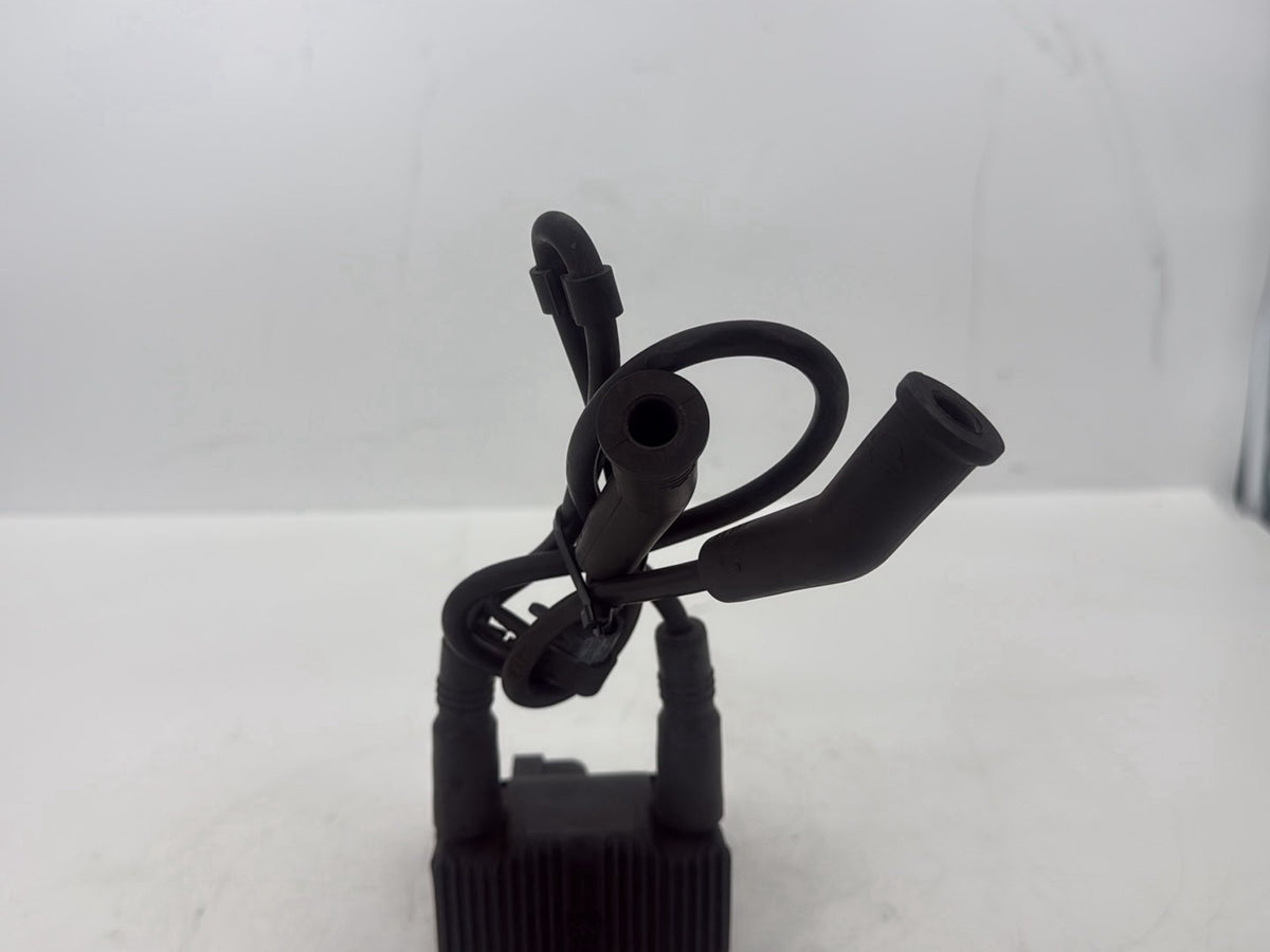 2005 Harley Touring FLHRCI Road King Classic OEM Ignition Coil Spark Plugs Cable