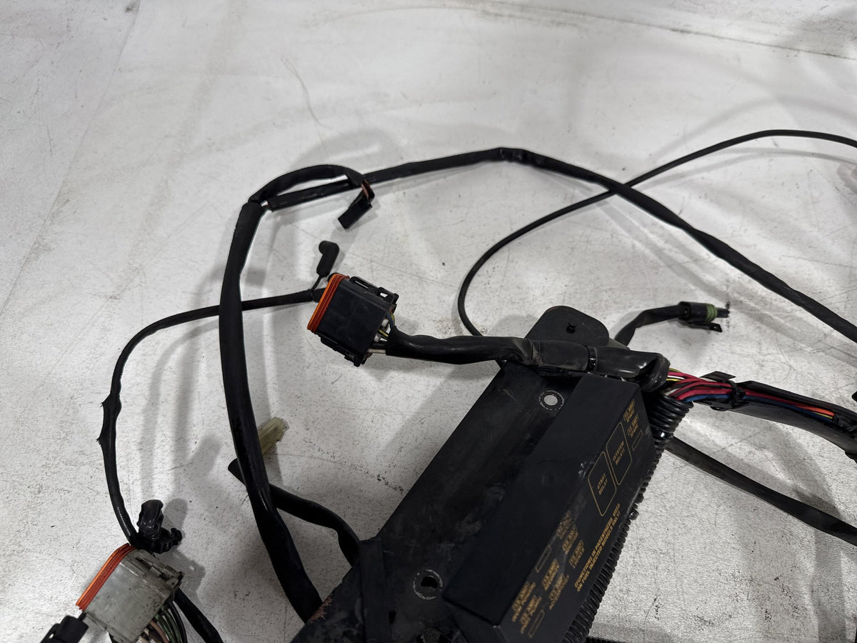 01 Harley Heritage Softail Classic FLSTC OEM Main Wire Wiring Harness Loom CARB
