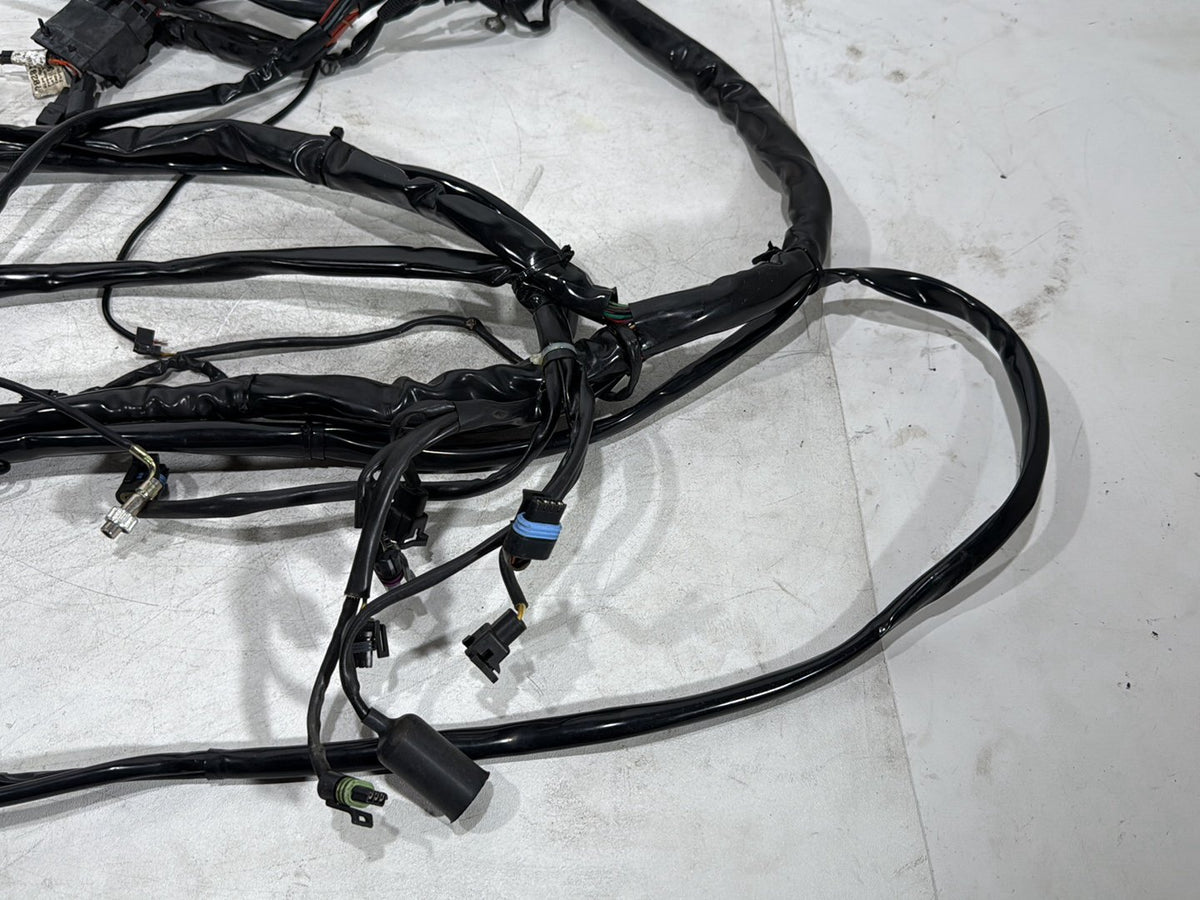 2003 Harley Electra Glide Touring Ultra OEM Main Wire Wiring Harness Loom