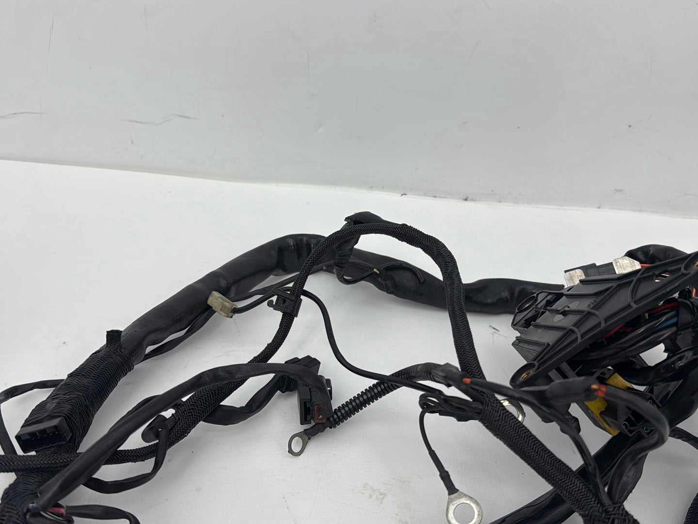 2003 Harley Sportster XL1200C 1200 Custom Anniversary OEM Main Wire Wiring Harness Ignition Switch NOKey