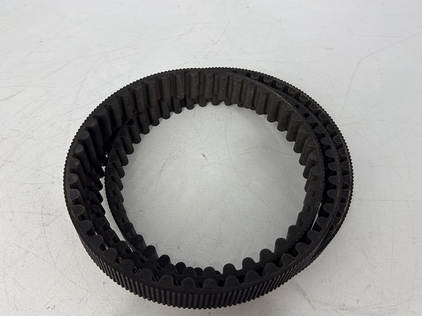 2005 Harley Sportster XL883C 883 Custom OEM Rear Drive Belt