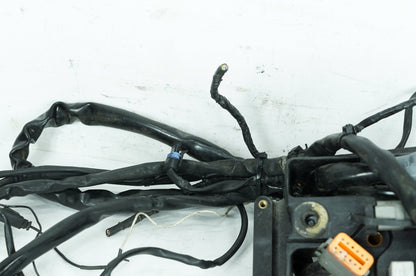 1999 - 2006 Harley-Davidson Dyna Low Rider Main Wire Wiring Harness Loom 69602-04A