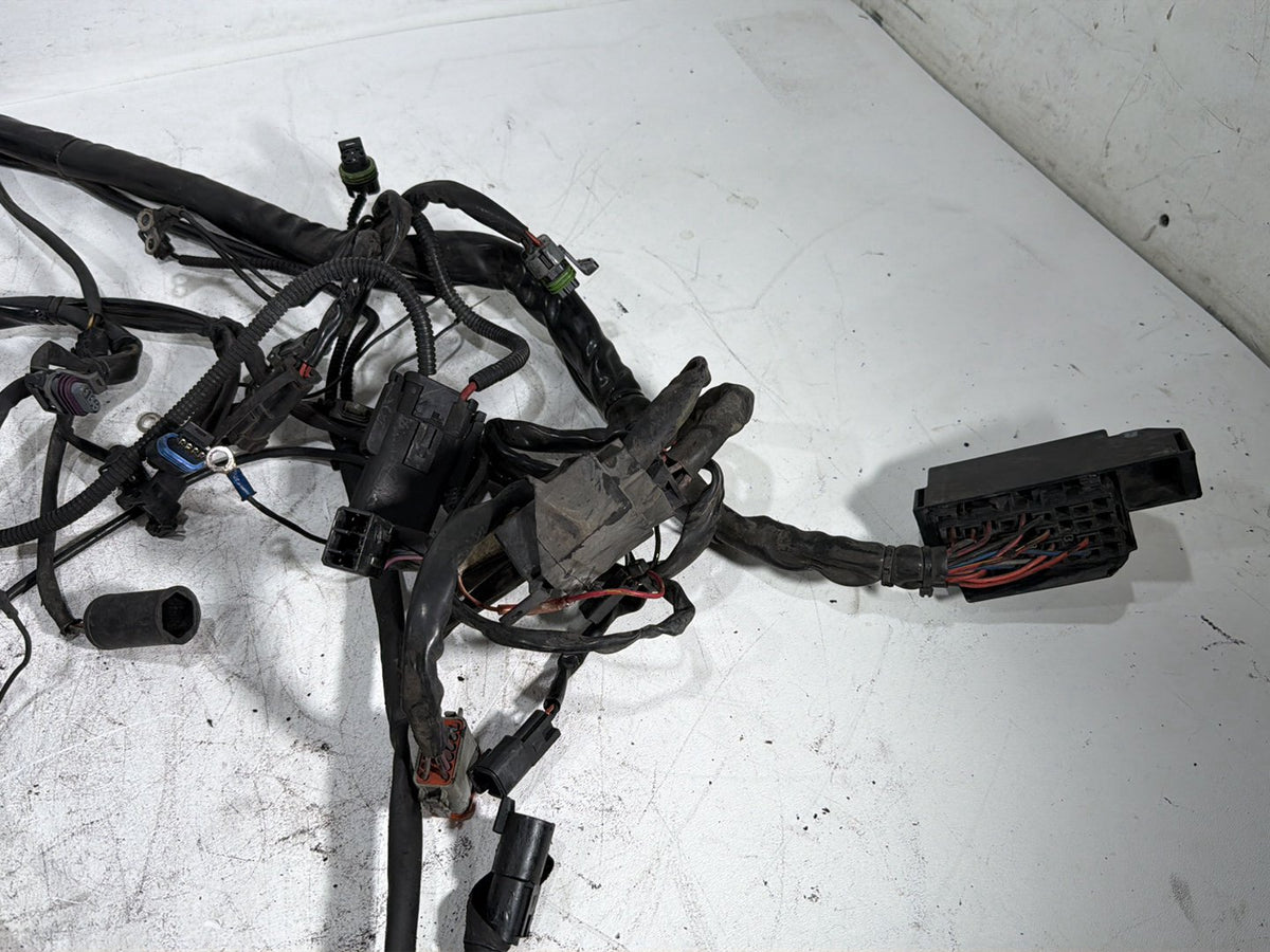 2005 Harley Electra Glide Touring CVO Eagle OEM Main Wire Wiring Harness Loom