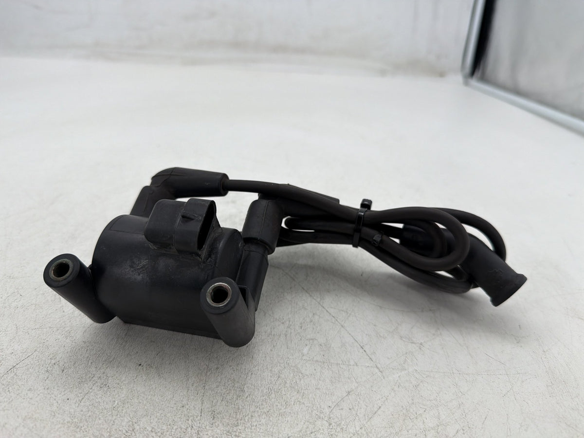 2011 Harley Street Glide Touring FLHX-103 OEM Ignition Coil Spark Plugs Cable