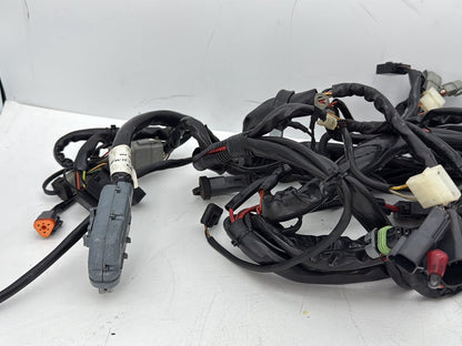 2005 Harley Touring FLHRCI Road King Classic OEM Main Wire Wiring Harness Loom