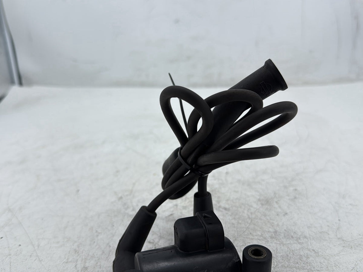 2009 Harley Road King Touring Police OEM Ignition Coil Spark Plugs Cable